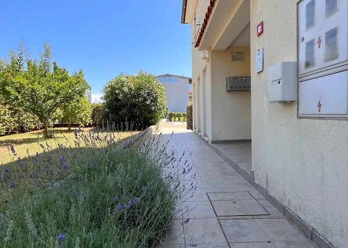 Sonia 1 Novigrad Istria